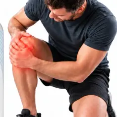 Cartílago de Tiburón con Vitamina C 500g | Elyon Natural, imagen 6