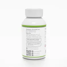 Alfalfa Premium 100 Cápsulas – Energía, Desintoxicación y Vitalidad Natural | Elyon Natural, imagen 2