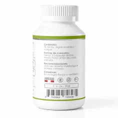 Té Verde Premium x 100 Cápsulas – Quema Grasa, Antioxidante Natural y Activador del Metabolismo | Elyon Natural Perú, imagen 3