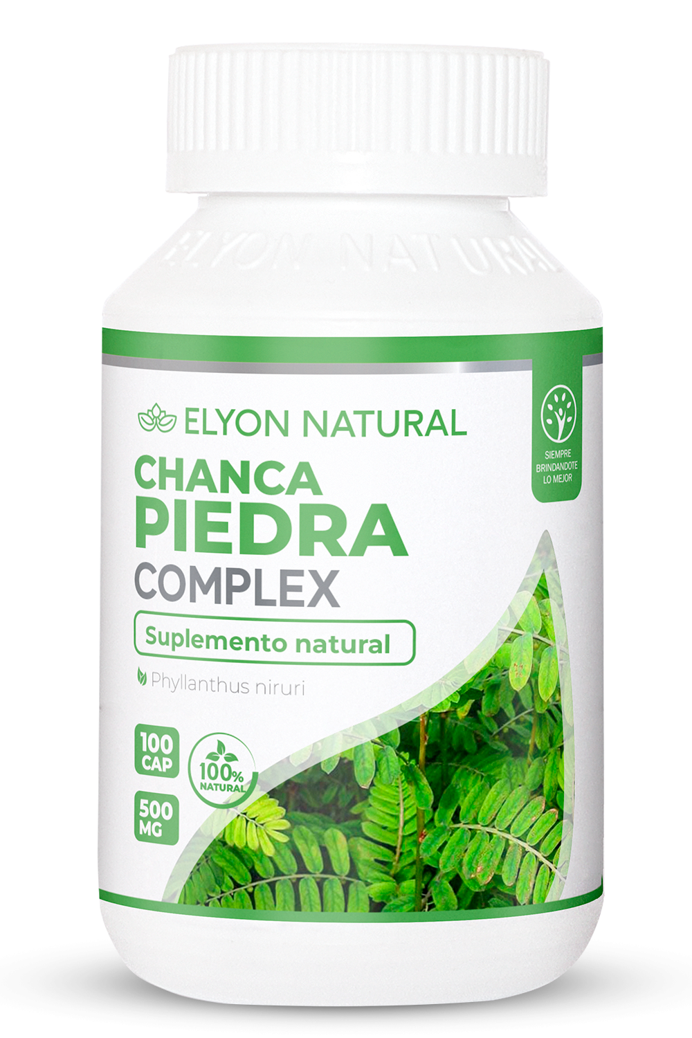Chanca Piedra Complex Elyon Natural – Suplemento para eliminar cálculos y limpiar riñones Frasco de Chanca Piedra Complex Elyon Natural con 100 cápsulas, fórmula natural para eliminar cálculos renales y depurar los riñones.