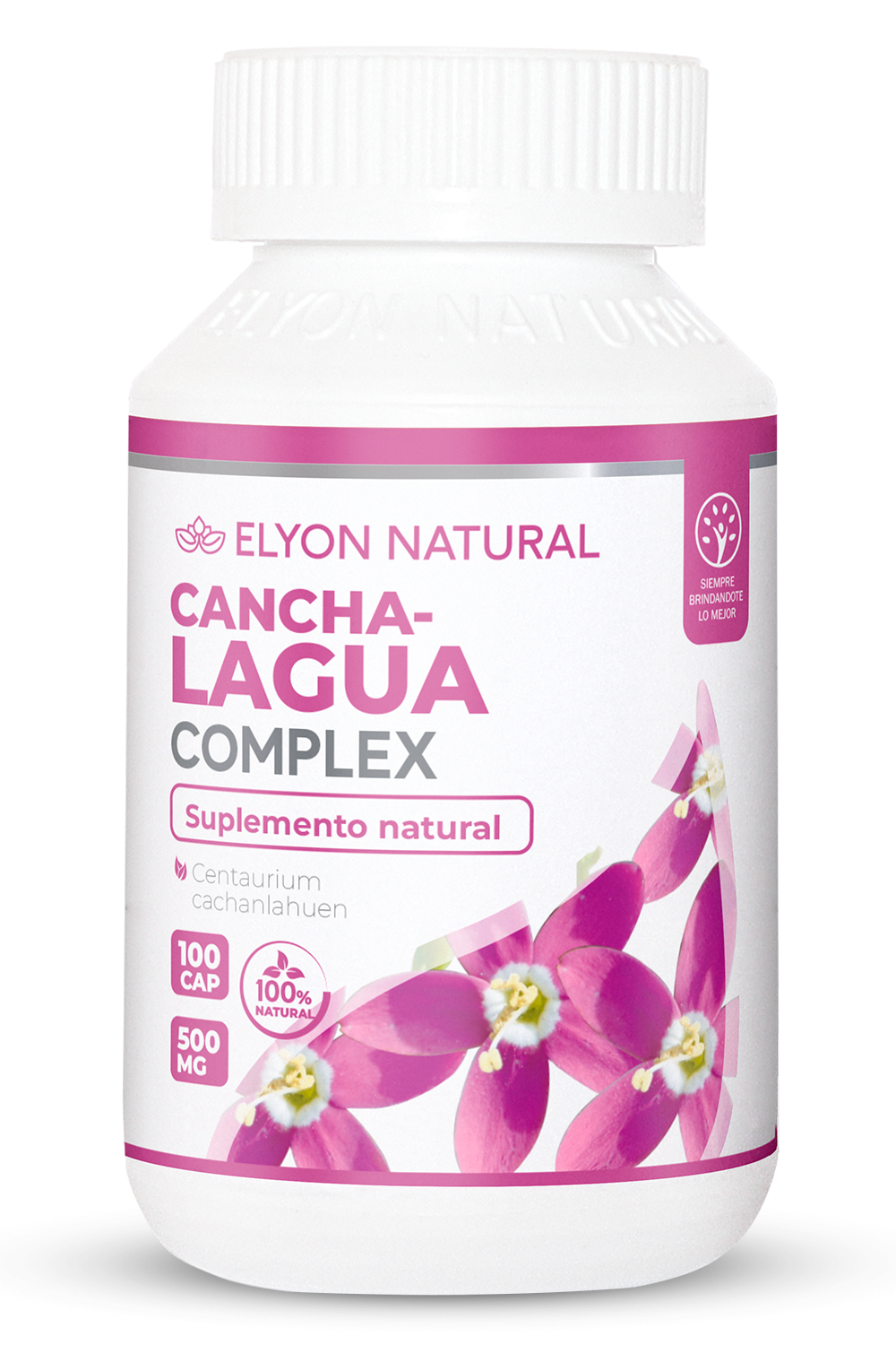 Canchalagua Complex Elyon Natural 100 cápsulas – Limpieza de sangre Canchalagua Complex Elyon Natural 100 cápsulas – Limpieza de sangre
