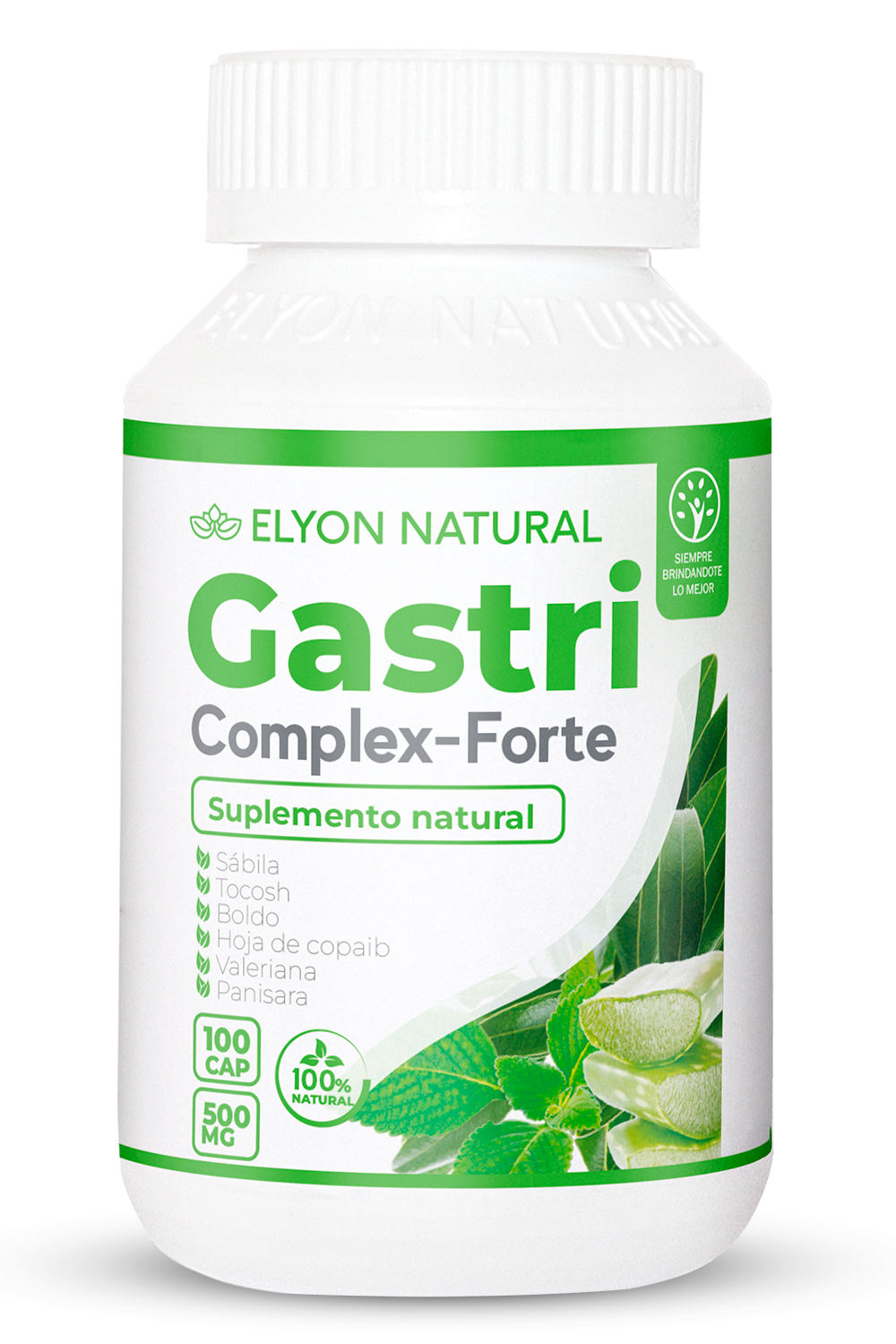gastri-complex Gastri Complex Forte x 100 cápsulas - Imagen 1