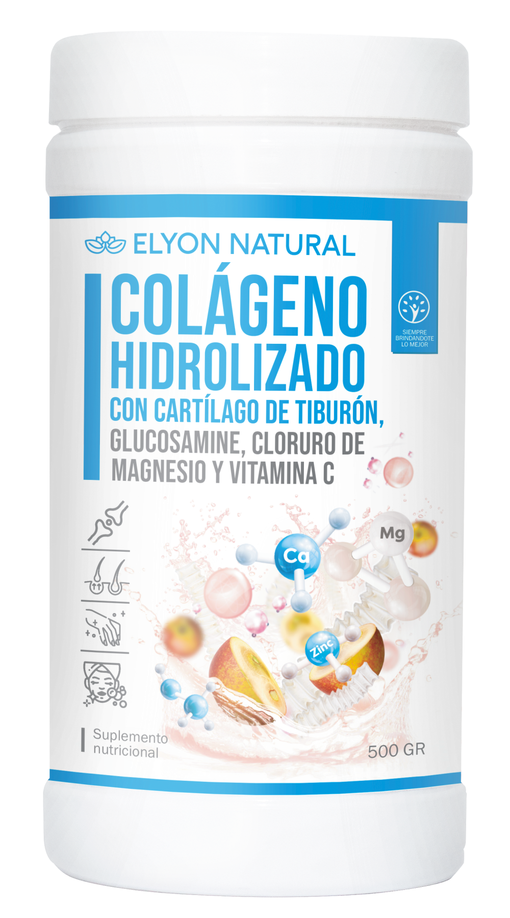suplemento articular natural Elyon 500g”, “colágeno glucosamina magnesio vitamina C Elyon suplemento articular natural Elyon 500g”, “colágeno glucosamina magnesio vitamina C Elyon