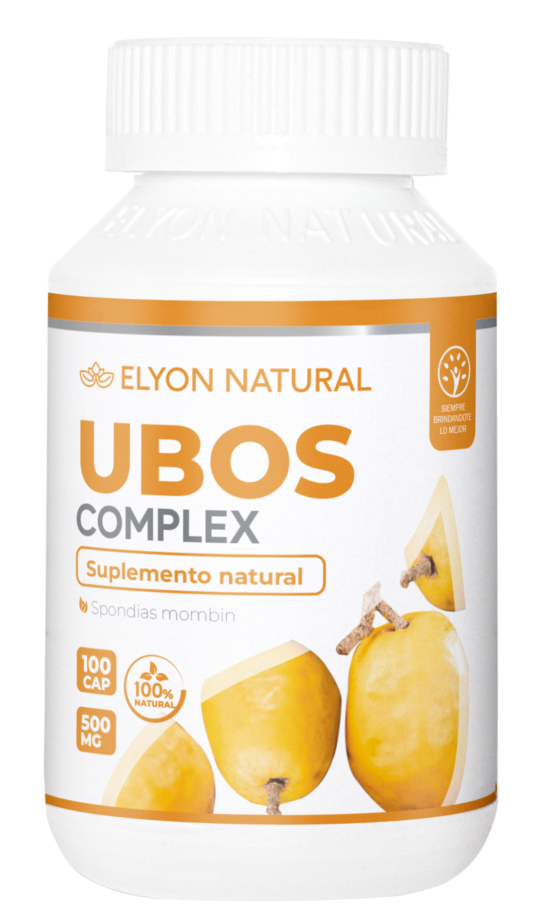 UBOS -CAP MOCKUP Ubos Complex x 100 Cápsulas – Salud Digestiva, Riñones y Bienestar General | Elyon Natural Perú - Imagen 1