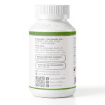 Ginkgo Biloba complex x 100 cápsulas - Imagen 2