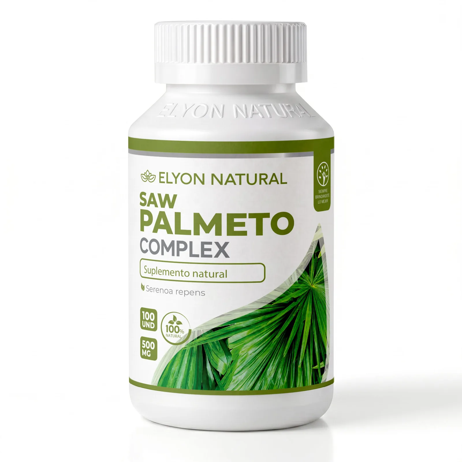 Saw Palmeto