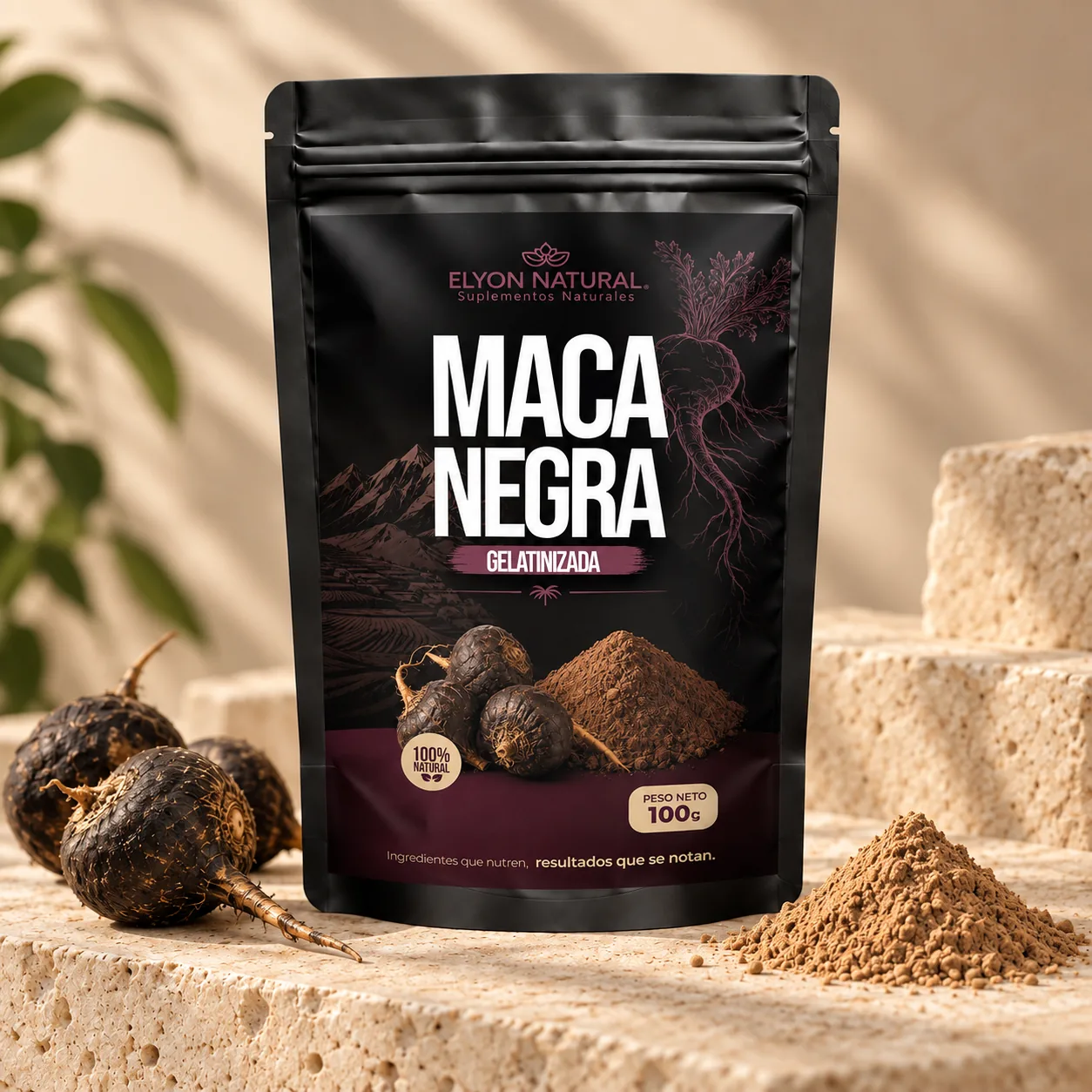 Harina Maca Negra gelatinizada 100g, imagen 2